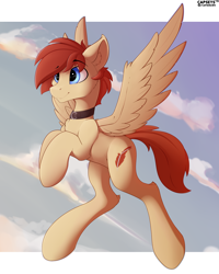 Size: 4000x5000 | Tagged: safe, artist:capseys, oc, oc only, oc:flair, species:pegasus, species:pony, g4, chest fluff, cloud, collar, cute, eyebrows, eyebrows visible through hair, flying, male, ocbetes, pegasus oc, sky, smiling, spread wings, stallion, three quarter view, wings