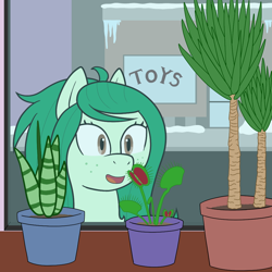 Size: 1000x1000 | Tagged: safe, artist:scraggleman, character:wallflower blush, species:earth pony, species:pony, equestria girls ponified, female, ponified, potted plant, smiling, snow, solo, story included, street, venus flytrap, wallflower and plants, window