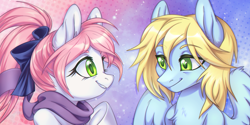 Size: 3000x1500 | Tagged: safe, artist:lightning-stars, oc, oc only, species:earth pony, species:pegasus, species:pony, bust, duo