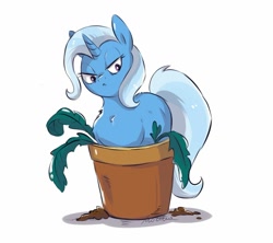 Size: 1280x1137 | Tagged: safe, artist:buttersprinkle, character:phyllis, character:trixie, species:pony, species:unicorn, :c, >:c, behaving like a cat, chest fluff, female, flower pot, frown, garfield, grumpy, if i fits i sits, lidded eyes, mare, potted plant, simple background, solo, white background