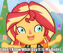 Size: 945x788 | Tagged: safe, artist:invisibleink, character:sunset shimmer, my little pony:equestria girls, animal crossing, caption, chibi, clothing, female, image macro, lockdown, meme, paintbrush, painting, solo, text