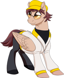 Size: 1076x1294 | Tagged: safe, artist:mythpony, oc, species:pegasus, species:pony, clothing, jacket, male, pants, simple background, solo, stallion, sunglasses, transparent background