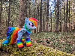 Size: 4032x3024 | Tagged: safe, artist:epicrainbowcrafts, character:rainbow dash, species:pegasus, species:pony, clothing, forest, irl, photo, plushie, rainbow socks, russia, socks, solo, striped socks