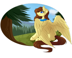 Size: 5028x4033 | Tagged: safe, artist:amazing-artsong, oc, oc:lucy harmony, species:pegasus, species:pony, female, mare, solo