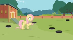 Size: 1440x802 | Tagged: safe, artist:forgalorga, character:fluttershy, species:pegasus, species:pony, feeding, female, it's picnic time, mare, roomba, roombashy