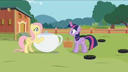 Size: 1432x806 | Tagged: safe, artist:forgalorga, character:fluttershy, character:twilight sparkle, character:twilight sparkle (alicorn), species:alicorn, species:pegasus, species:pony, basket, female, food, it's picnic time, mare, picnic basket, roomba, roombashy, tea, tea kettle