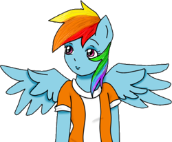 Size: 492x406 | Tagged: safe, artist:wrath-marionphauna, character:rainbow dash, species:anthro, clothing, digital art, female, shirt, simple background, solo, t-shirt, transparent background, wings