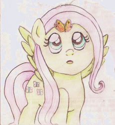 Size: 1201x1301 | Tagged: safe, artist:wrath-marionphauna, character:fluttershy, species:pegasus, species:pony, butterfly, colored pencil drawing, female, solo, surprised, traditional art