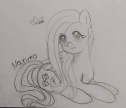 Size: 540x463 | Tagged: safe, artist:wrath-marionphauna, character:fluttershy, species:pegasus, species:pony, blushing, butterfly, female, pencil drawing, sketch, smiling, solo, traditional art