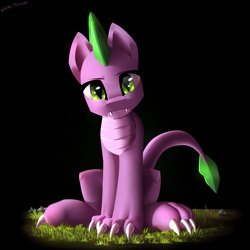 Size: 2500x2500 | Tagged: safe, artist:shido-tara, oc, oc:precious, species:dracony, species:dragon, species:pony, fallout equestria, fallout equestria: project horizons, fallout equestria: homelands, fanfic art, hybrid, looking at you, simple background