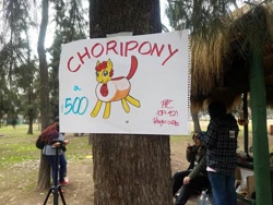 Size: 600x450 | Tagged: safe, artist:ionipony, artist:wrath-marionphauna, oc, oc only, oc:choripony, bread, chile, chilean, choripan, convention, food, meta, picture, traditional art