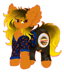 Size: 1470x1632 | Tagged: safe, artist:vanillaswirl6, oc, oc only, oc:kansas, g4, clothing, flannel, male, pants, simple background, transparent background, vanillaswirl6's state ponies