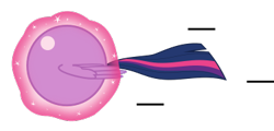 Size: 375x180 | Tagged: safe, artist:mega-poneo, character:twilight sparkle, character:twilight sparkle (alicorn), species:alicorn, species:pony, g4, ambiguous gender, ball, crossover, levitation, magic, motion lines, rolling, self-levitation, simple background, solo, sonic the hedgehog (series), spin dash, spread wings, telekinesis, transparent background, twiball, wings