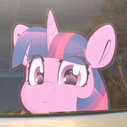Size: 794x794 | Tagged: safe, artist:partylikeanartist, character:twilight sparkle, character:twilight sparkle (alicorn), species:alicorn, species:pony, species:unicorn, g4, anime, anime eyes, anime style, bumper sticker, car, cute, etsy, eye clipping through hair, eyebrows, eyebrows visible through hair, ford focus, irl, looking at you, merchandise, peeking, photo, solo, sticker, suspicious, twiabetes