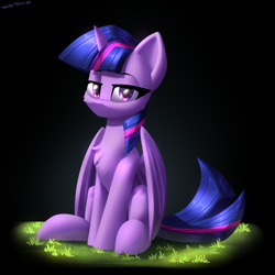 Size: 2400x2400 | Tagged: safe, artist:shido-tara, character:twilight sparkle, character:twilight sparkle (alicorn), species:alicorn, species:pony, g4, female, grass, lidded eyes, looking at you, mare, simple background, sitting, smiling, smirk, solo