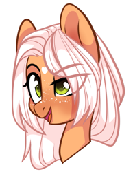 Size: 937x1209 | Tagged: safe, artist:cloud-fly, oc, oc only, oc:orange fizz, species:pony, g4, bust, eye clipping through hair, female, mare, portrait, simple background, solo, transparent background
