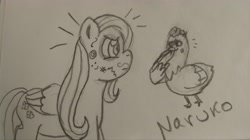 Size: 4000x2244 | Tagged: safe, artist:wrath-marionphauna, derpibooru original, character:fluttershy, species:bird, species:chicken, g4, face doodle, laughing, pencil drawing, requested art, stare, the stare, traditional art, wing hands, wings