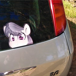 Size: 794x794 | Tagged: safe, artist:partylikeanartist, character:octavia melody, species:earth pony, species:pony, g4, anime, anime eyes, bumper sticker, car, eye clipping through hair, eyebrows, eyebrows visible through hair, ford, ford focus, irl, looking at you, peeking, photo, solo