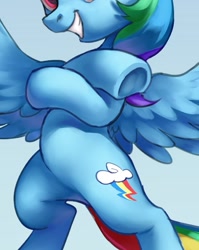 Size: 747x940 | Tagged: safe, artist:luciferamon, edit, character:rainbow dash, species:pegasus, species:pony, g4, backwards cutie mark, belly, bipedal, cropped, crossed hooves, featureless crotch, frog (hoof), grin, pictures of bellies, smiling, solo, underhoof