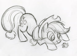 Size: 900x659 | Tagged: safe, artist:lauren faust, character:applejack, species:earth pony, species:pony, behind the scenes, color me, concept art, face down ass up, female, frog, frog inspector applejack, grayscale, mare, monochrome, solo, traditional art