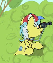 Size: 1280x1541 | Tagged: safe, artist:pirill, character:shutterfly, species:pony, 30 minute art challenge, camera, female, solo