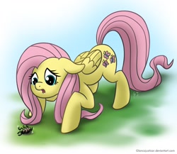Size: 1200x1040 | Tagged: safe, artist:glancojusticar, character:fluttershy, species:pegasus, species:pony, g4, beetle, female, floppy ears, mare, sad, solo