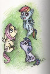 Size: 489x716 | Tagged: safe, artist:buttersprinkle, character:fluttershy, character:rainbow dash, character:twilight sparkle, cute, dashabetes, shyabetes, traditional art