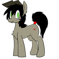 Size: 1000x1000 | Tagged: dead source, safe, artist:cymek, oc, oc only, oc:balkan breeze, species:earth pony, species:pony, black mane, chest fluff, clothing, colored, earth pony oc, flat colors, green eyes, hat, looking at you, simple background, solo, white background