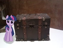 Size: 2592x1944 | Tagged: safe, artist:kittyhawk-contrail, artist:tokkazutara1164, character:twilight sparkle, hugpony poses, irl, photo, ponies in real life, size comparison, solo, treasure chest, vector