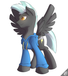 Size: 1800x2013 | Tagged: safe, artist:capseys, character:thunderlane, species:pegasus, species:pony, clothing, cute, hoodie, male, simple background, smiling, solo, spread wings, stallion, thunderbetes, transparent background, wings