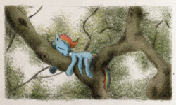 Size: 800x481 | Tagged: safe, artist:hewison, character:rainbow dash, female, sleeping, solo, tree