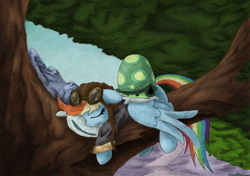 Size: 900x632 | Tagged: safe, artist:hewison, character:rainbow dash, character:tank, aviator hat, bomber jacket, clothing, goggles, hat, pillow, sleeping, tree, tree branch