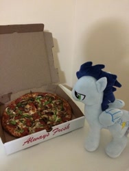 Size: 600x800 | Tagged: safe, artist:onlyfactory, character:soarin', bootleg, irl, old cutie mark, photo, pizza, plushie