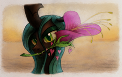 Size: 800x505 | Tagged: safe, artist:hewison, character:queen chrysalis, bedroom eyes, female, flower, flower in mouth, heart, heart's desire, looking at you, mouth hold, solo