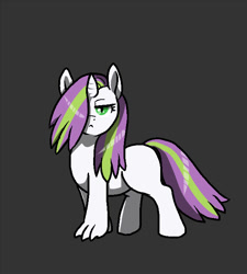 Size: 630x700 | Tagged: safe, artist:lurking tyger, oc, oc only, parent:spike, parent:sweetie belle, parents:spikebelle, unnamed oc, species:dracony, hair over one eye, hybrid, interspecies offspring, looking at you, offspring, simple background, solo