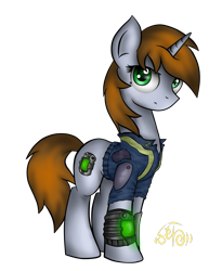 Size: 2251x2744 | Tagged: safe, artist:setharu, oc, oc only, oc:littlepip, species:pony, species:unicorn, fallout equestria, clothing, fallout, fanfic, fanfic art, female, hooves, horn, mare, pipbuck, simple background, solo, transparent background, vault suit