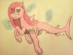 Size: 1024x768 | Tagged: safe, artist:mane-shaker, character:pinkamena diane pie, character:pinkie pie, bubble, colored, female, original species, shark pony, sharkified, solo, species swap, traditional art, underhoof, underwater, watercolor painting