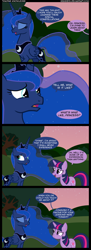 Size: 1310x3587 | Tagged: safe, artist:veggie55, character:princess luna, character:twilight sparkle, character:twilight sparkle (unicorn), species:alicorn, species:pony, species:unicorn, comic, dialogue, duo, ethereal mane, female, galaxy mane, mare, night, oblivious, speech bubble