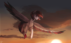 Size: 1024x626 | Tagged: safe, artist:orfartina, oc, oc only, species:pegasus, species:pony, big wings, cloud, colored wings, colored wingtips, flying, multicolored wings, sky, solo, spread wings, sunset, unshorn fetlocks, wings