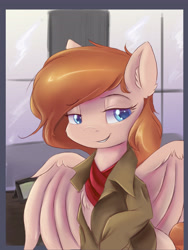 Size: 3600x4800 | Tagged: safe, artist:ardail, oc, oc only, species:pegasus, species:pony, clothing, solo
