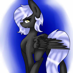Size: 575x575 | Tagged: safe, artist:sweetmelon556, oc, oc only, oc:cloudy night, species:pegasus, species:pony, blue background, covering, gradient background, simple background, solo, wing covering
