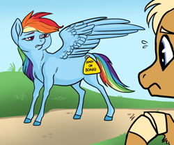 Size: 1024x853 | Tagged: safe, artist:loryska, character:quibble pants, character:rainbow dash, ship:quibbledash, male, natural hair color, preggo dash, pregnant, rainbow dash is not amused, shipping, sticker, story included, straight, unamused, worried