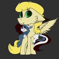 Size: 2560x2560 | Tagged: safe, artist:brokensilence, oc, oc only, oc:mira songheart, oc:noctis, species:draconequus, adorable face, cute, draconequified, duo, female, male, noctira, shipping, smolpone, species swap, straight