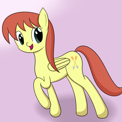 Size: 1600x1600 | Tagged: safe, artist:joey, oc, oc only, oc:shooting star, species:pony, gradient background, solo