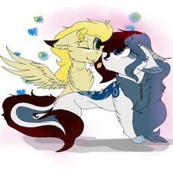 Size: 2560x2560 | Tagged: safe, artist:brokensilence, oc, oc only, oc:mira songheart, oc:noctis, species:draconequus, species:pony, blep, chest fluff, cute, draconequified, ear fluff, floppy ears, fluffy, heart, horns, looking at each other, mirabetes, noctira, oc x oc, one eye closed, shipping, shipping fuel, simple background, smiling, species swap, spread wings, tongue out, white background, wings