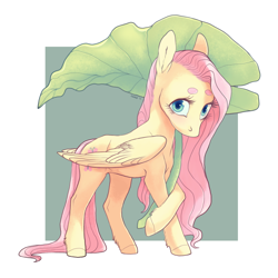 Size: 1200x1200 | Tagged: safe, artist:amphoera, character:fluttershy, species:pegasus, species:pony, beanbrows, crossed hooves, eyebrows, female, leaf, leaf umbrella, looking at you, no mouth, simple background, solo, wings