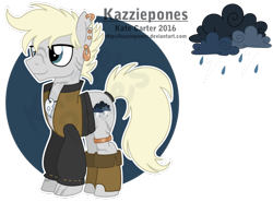 Size: 1024x757 | Tagged: safe, artist:kazziepones, oc, oc only, oc:storm carver, species:pegasus, species:pony, clothing, male, reference sheet, simple background, solo, stallion, transparent background