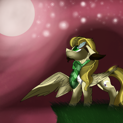 Size: 2560x2560 | Tagged: safe, artist:brokensilence, oc, oc only, oc:noctis, species:pegasus, species:pony, blood moon, clothing, facial hair, full moon, goggles, moon, night, scarf, solo, stars