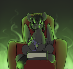 Size: 1308x1250 | Tagged: safe, artist:sinrar, oc, oc only, unnamed oc, species:pegasus, species:pony, armchair, fire, folded wings, green fire, sitting, solo, spike plushie, typewriter