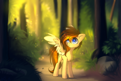 Size: 3000x2000 | Tagged: safe, artist:starlyfly, oc, oc only, oc:aerion featherquill, species:pegasus, species:pony, chest fluff, detailed background, female, forest, mare, solo, spread wings, two toned wings, wings